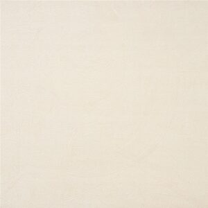 Willow Ivory 60x60
