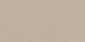 Textures Rough R12 60x30 Greige